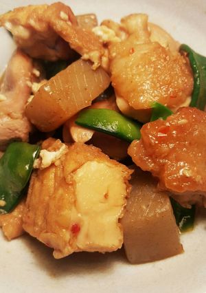 鶏肉とコンニャクと厚揚げのピリ辛煮-レシピのメイン写真
