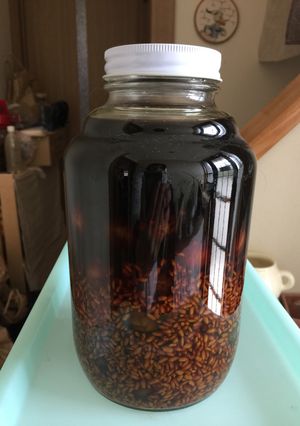 梅酒の梅で作る梅醤油麹-レシピのメイン写真