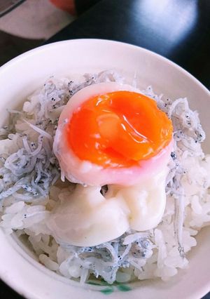 簡単☆美味い☆温玉しらす丼♪-レシピのメイン写真