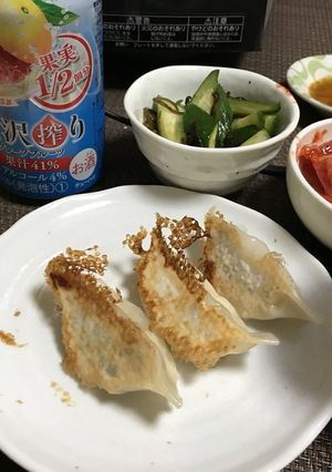 鶏と豆腐でヘルシー餃子-レシピのメイン写真
