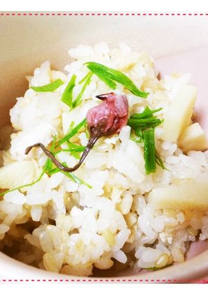筍ご飯（昆布茶＆だし醤油で簡単炊き込み）-レシピのメイン写真