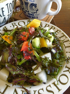 ごろごろ野菜と水菜のサラダ-レシピのメイン写真