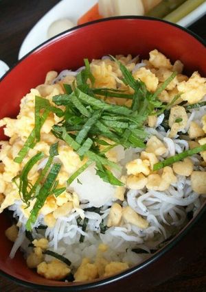我が家のしらす丼-レシピのメイン写真