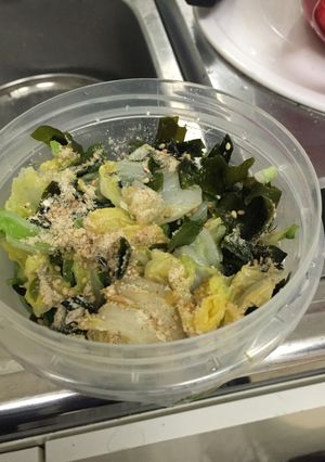 100円以下料理!#4白菜のおひたし-レシピのメイン写真