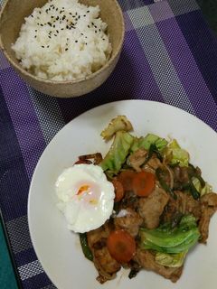 味つけ簡単♪肉野菜炒め-レシピのメイン写真