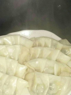 蒸し器なしで作る蒸し餃子に挑戦!-レシピのメイン写真
