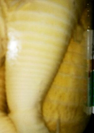 筍保存-レシピのメイン写真