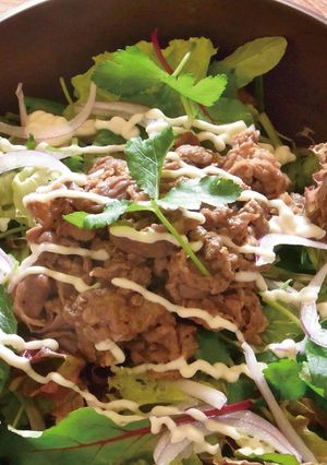 ご馳走★牛肉とみつばの香味おかずサラダ-レシピのメイン写真