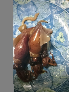 ホタルイカの佃煮-レシピのメイン写真