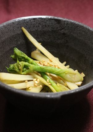 山うどの塩きんぴら-レシピのメイン写真