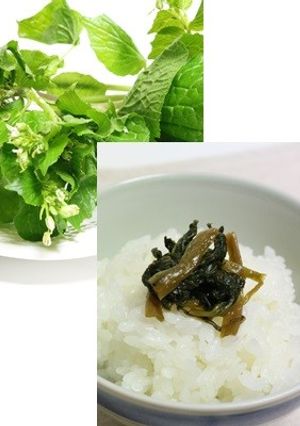 ご飯がすすむ★葉わさびの醤油漬け-レシピのメイン写真