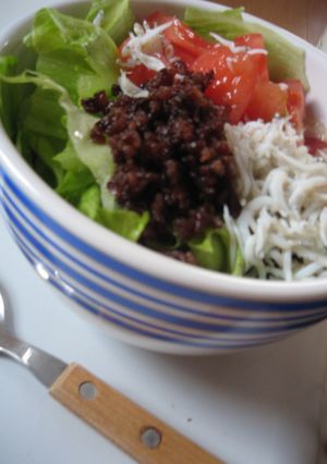 カフェ丼①：肉そぼろとしらす-レシピのメイン写真