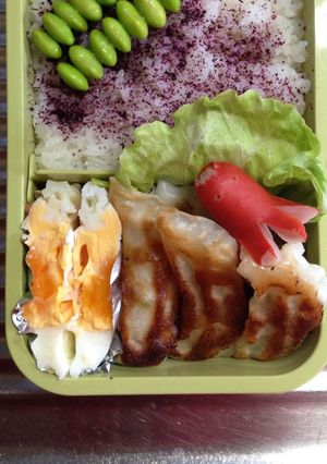 お弁当⑧〔餃子〕-レシピのメイン写真