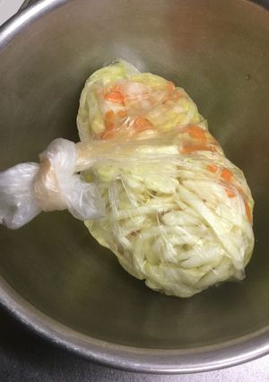 キャベツとニンジンの甘酢漬け-レシピのメイン写真