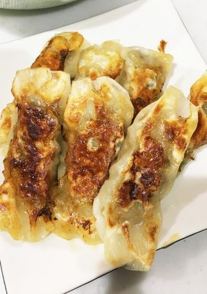 味付き☆酢で食べる高菜ギョーザ-レシピのメイン写真