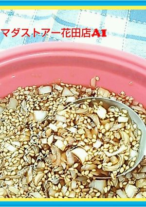 酢生姜で万能香味ソース-レシピのメイン写真