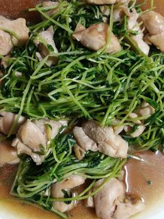 豆苗と鶏肉の炒め物^^-レシピのメイン写真