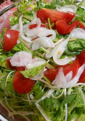 葉野菜まるごとグリーンサラダ-レシピのメイン写真