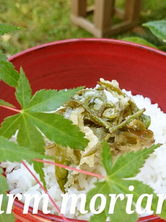 いまが旬♪お茶の葉てんぷら-レシピのメイン写真