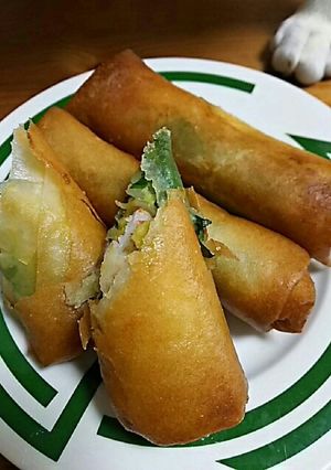 大葉とチーズアボカドのかに春巻き-レシピのメイン写真