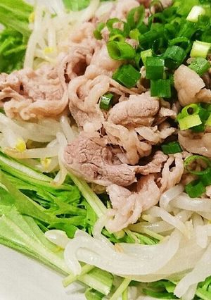 サッパリ簡単！水菜ともやしの牛しゃぶ-レシピのメイン写真