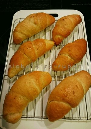 塩バターロールパン-レシピのメイン写真