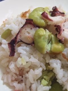 ホクホク☆そらまめとタコの炊き込みごはん-レシピのメイン写真