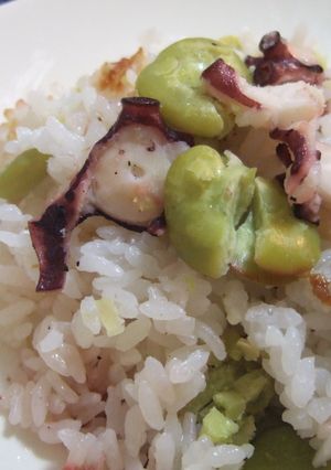 ホクホク☆そらまめとタコの炊き込みごはん-レシピのメイン写真