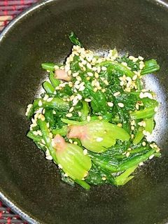 みんこんちの ほうれん草の おひたし-レシピのメイン写真