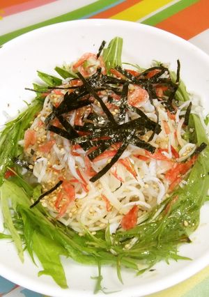 栄養オイル de サラダそうめん-レシピのメイン写真