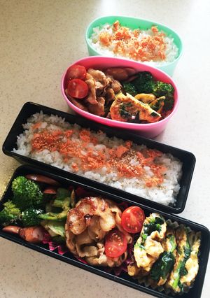 高校生のお弁当 2-レシピのメイン写真