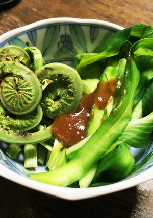 山菜 コゴミとウルイの酢味噌-レシピのメイン写真