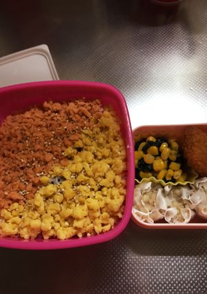 【お弁当】彩り２色弁当-レシピのメイン写真