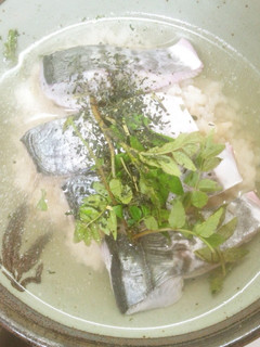 さわら(魚)のきずし 梅風味、木の芽和え-レシピのメイン写真