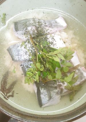 さわら（魚）のきずし　梅風味、木の芽和え-レシピのメイン写真