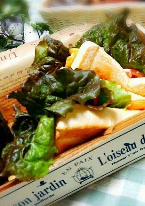 カフェ風　卵とトマトのホットサンド-レシピのメイン写真