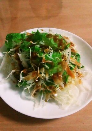 自家製お味噌でドレッシングサラダ♪-レシピのメイン写真