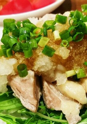 サッパリ！簡単！茹で鶏のおろしポン酢-レシピのメイン写真