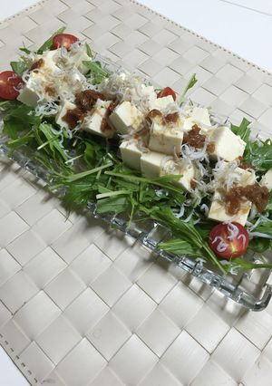 豆腐としらすの梅サラダ-レシピのメイン写真