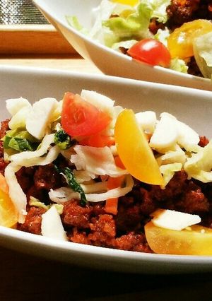 犬ご飯　栄養満点タコライス-レシピのメイン写真