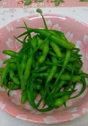 大根の実のゆで方~塩味~-レシピのメイン写真