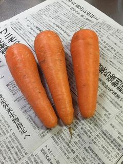 簡単長持ち にんじんの保存-レシピのメイン写真