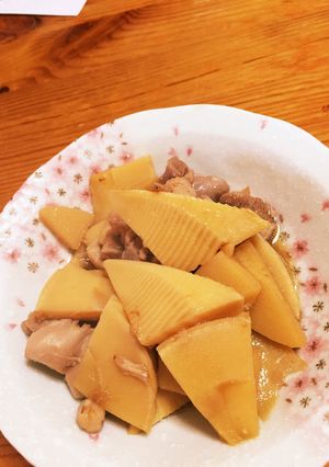たけのこと鶏肉の煮物-レシピのメイン写真