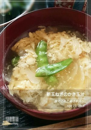 簡単！めんつゆで新玉ねぎのかき玉汁-レシピのメイン写真