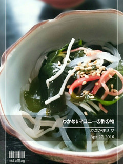 ワカメ&マロニーの酢の物-レシピのメイン写真