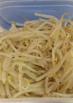 常備菜！モヤシのナムル-レシピのメイン写真