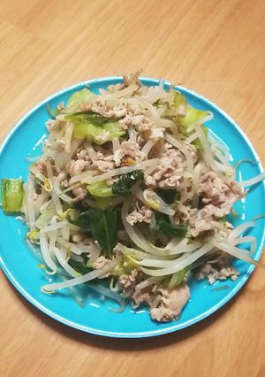 薄切り豚肉ともやしの塩野菜炒め-レシピのメイン写真