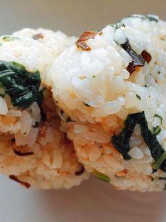 ふきの葉と塩昆布のおにぎり-レシピのメイン写真