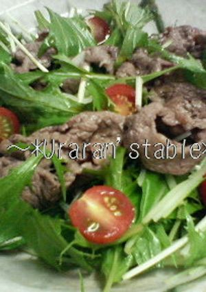 シャキシャキ水菜の焼肉サラダ♪-レシピのメイン写真