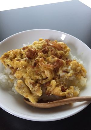 イケアフライドオニオンでかつ無しカツ丼-レシピのメイン写真